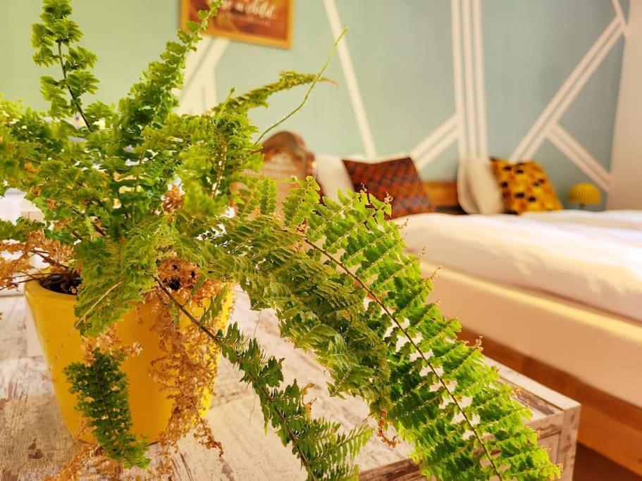 Colourful 2.5 Bedroom With Large Balcony & Garden. Prinzersdorf Ngoại thất bức ảnh