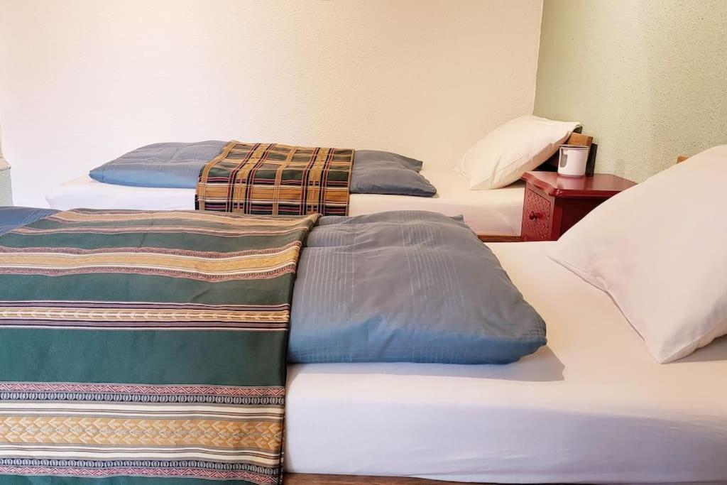 Colourful 2.5 Bedroom With Large Balcony & Garden. Prinzersdorf Ngoại thất bức ảnh