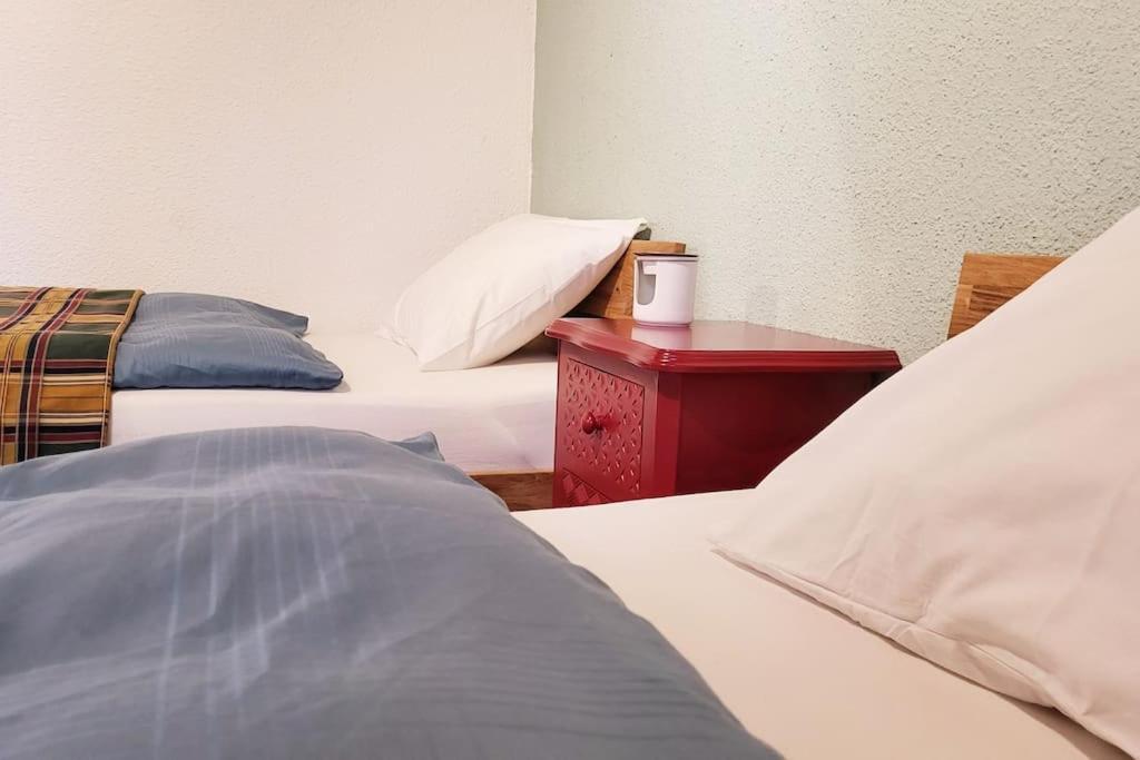 Colourful 2.5 Bedroom With Large Balcony & Garden. Prinzersdorf Ngoại thất bức ảnh