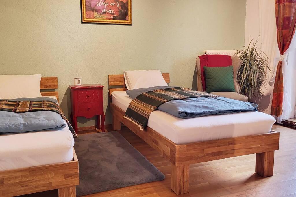 Colourful 2.5 Bedroom With Large Balcony & Garden. Prinzersdorf Ngoại thất bức ảnh